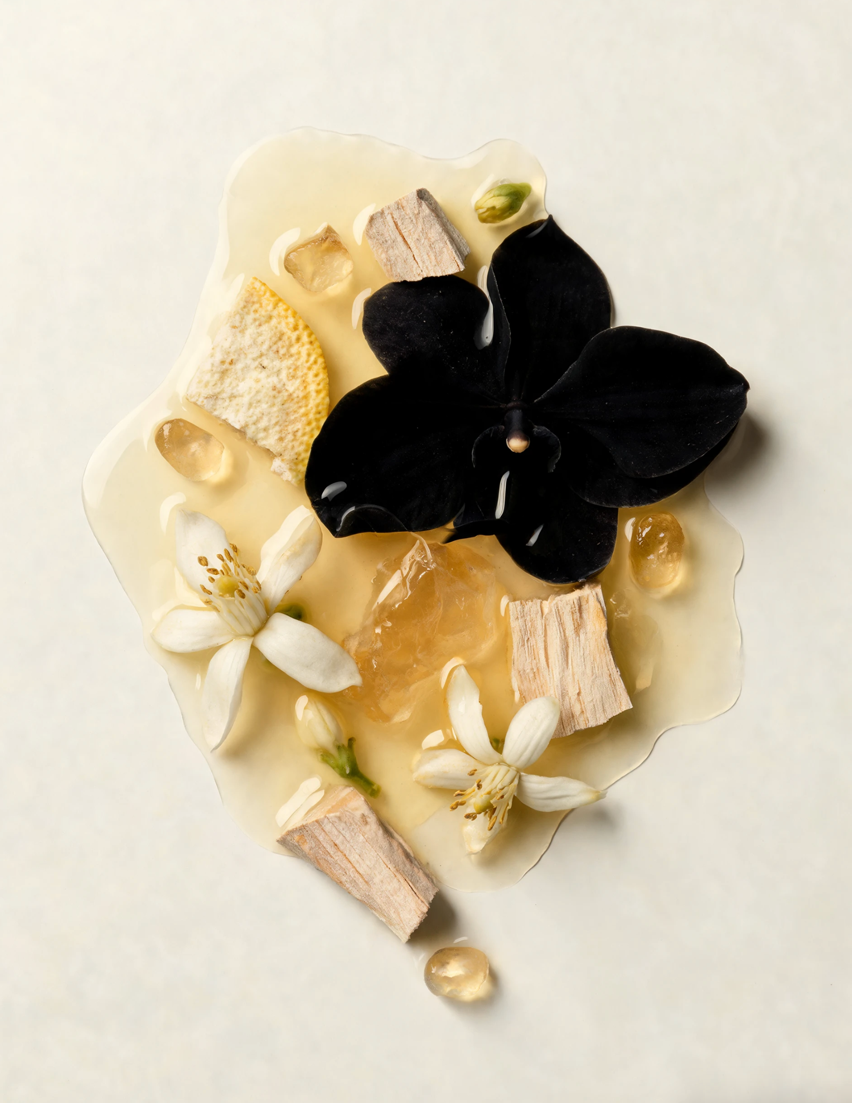 CREAM OF DREAMS